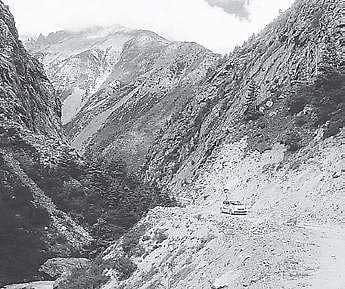 Middlemen turn rare Himalayan herbs into contraband