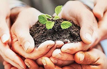 How to get life insurance cover with maturity benefits