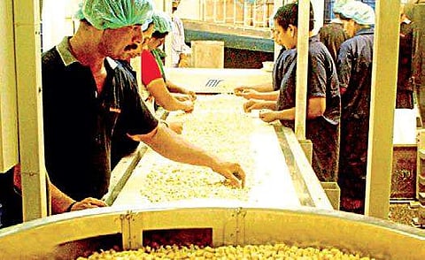 Kerala Budget 2018 gives cashew sector nothing to cheer