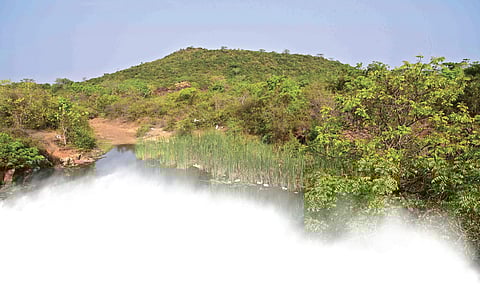 The 600-page study report has been submitted to Greater Chennai Corporation and a stakeholders meeting (File | EPS)