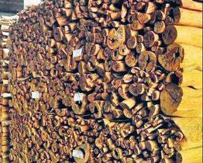 Legacy of Marayoor sandalwood helps fill up Kerala coffers
