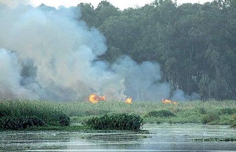 Bellandur Lake has been in the news for frequent fires and frothing | Express