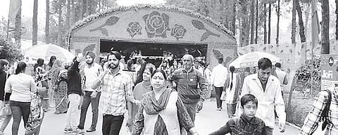 For representational purposes