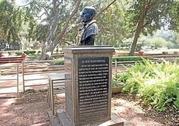 City’s keeper of botanical secrets