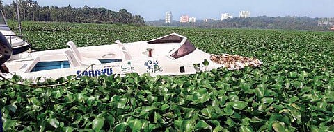 Boats seen anchored near Akkulam tourist village after boating was discontinued due to large accumulation of water hyacinth  Kaviyoor Santhosh