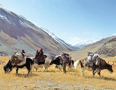 Trapped in an alien land