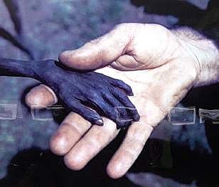 Photographs etching the iconic moments in history were exhibited at the four-day International Press Photo Fest organised by Media Academy and Information and Public Relations Department