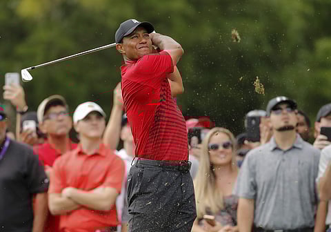 14-time major champion Tiger Woods | AP