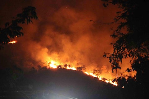 Fire seen at Kurangani forest area near Bodi in Theni district. (EPS | P Mahendren)