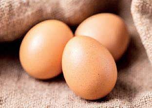 Only ‘premium eggs’ imported from Japan for Telangana's Gopichand Badminton Academy students