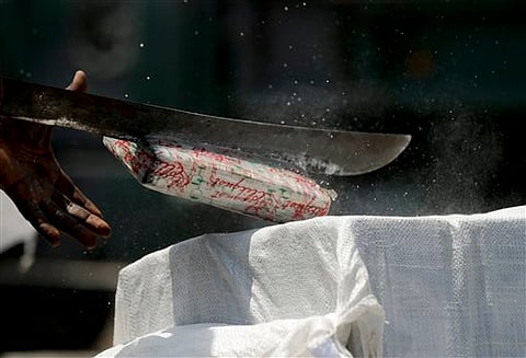 Representational image of a narcotics agent using a machete to slice open a brick of cocaine (File|AP)