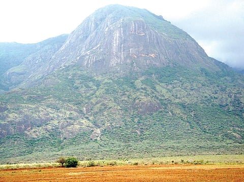 The proposed site of the INO, near Bodi West Hills in Theni district | Express Photo
