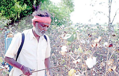 A still from the documentary