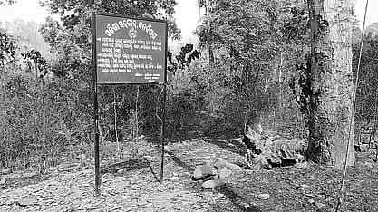 Despite preventive steps, fire continues to raze in Similipal 