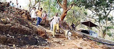 The dog squad which was pressed into service in search of the accused sexton in Malayattoor | albin mathew