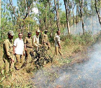 Fire watchers prepare fire lines in ​a​ forest area | G VEERESH