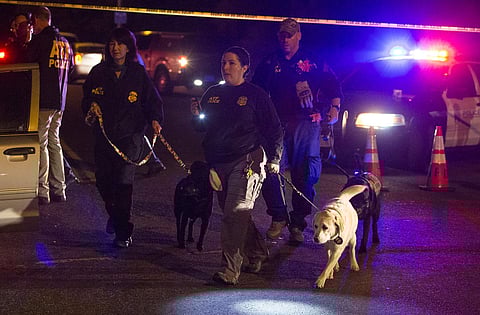 Police dogs and their handlers deploy at the scene of an explosion in southwest Austin, Texas. | AP
