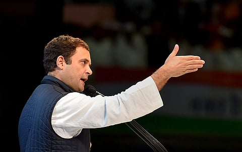 Congress President Rahul Gandhi (PTI Photo)