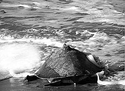 File photo of a turtle fitted with satellite transmitter | Express