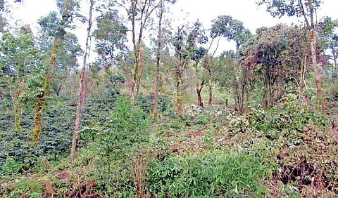 Image for representational purpose only.