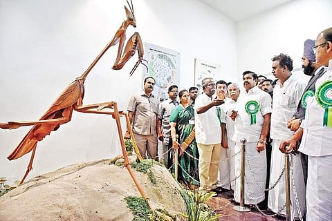 Chief Minister takes a look at the exhibits on display at the insect museum in Coimbatore on Monday | A RAJA CHIDAMBARAM