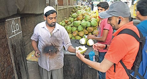 With rising mercury levels, prices of tender coconuts too have increased to as much as D40 per piece in the city | Vinod Kumar T