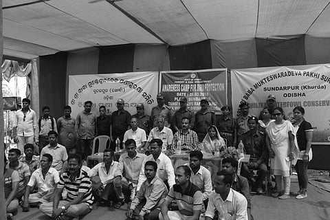 Odisha: Poachers turn protectors in Khurda's Sundarpur village