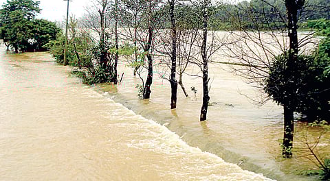 Cauvery overflowing in Kodagu