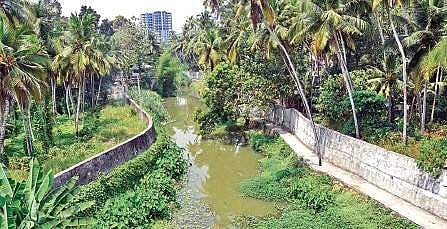 A portion of Killi River  B P Deepu