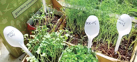 Add some greens Feel guilty about mashed potatoes?