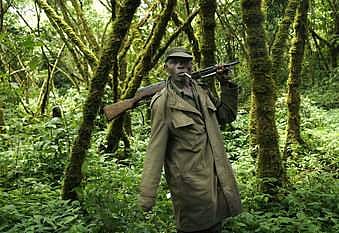 A park ranger loyal to the CNDP escorts visitors through the Virunga National Park, near the Uganda border. (File | AP)