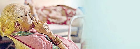 Green shoots amidst gloom