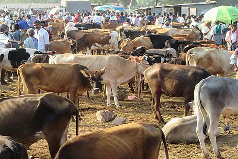 Image for representational purpose only. (File | EPS)