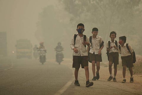 motor vehicles contribute about 48 per cent of emissions that lead to the formation of fine particulates. (File Photo | Reuters)