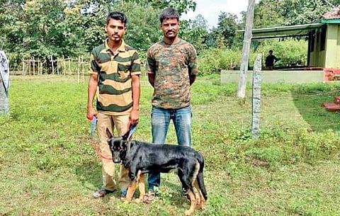 Members of the wildlife canine squad pose with their dog - Qwipper at Kali Tiger Reserve in Dandeli   | express