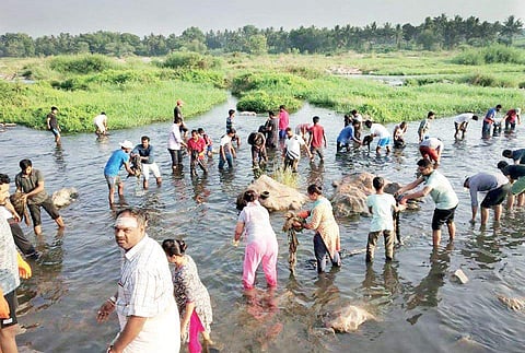 More than 500 volunteers participated in the cleanliness drive  of river Cauvery this month