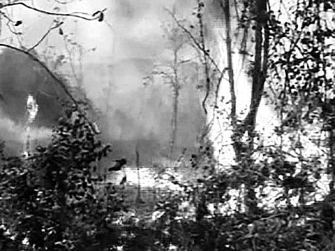 Odisha: Honey lure leads to Barunei forest fire