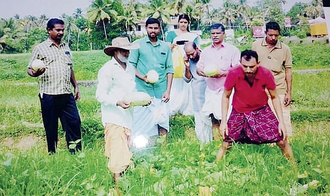 Heralding the success saga of organic farming, villagers harvest vegetables from nearly 12 acres of land at Odiyappadam at Kurumassery