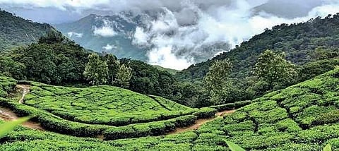 Adventure tourism is the new mantra