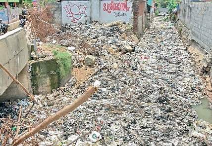 Brighter vision for a greener Vilappilsala