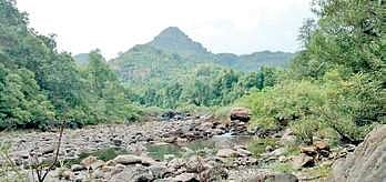 Hubballi-Ankola railway line hits roadblock as tiger authority says no to project