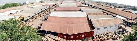 Asia’s biggest chilli yard in Guntur district of Andhra Pradesh under vigilance scanner