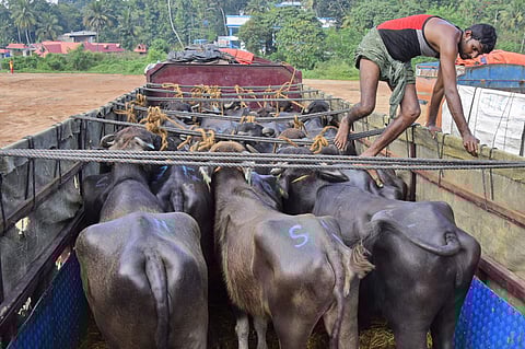 Image used for representational purpose. (File | EPS)