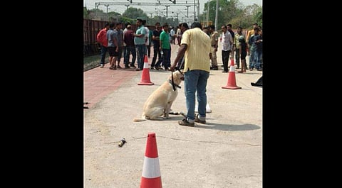 Improvised Explosive Devices found in Alleppey-Dhanbad Express in Odisha (Photo | EPS)