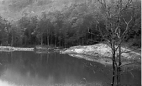 A newly set up water body in Rourkela Forest Division| EPS