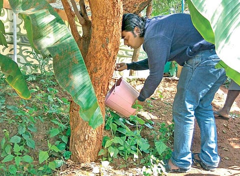 Image used for representational purpose.