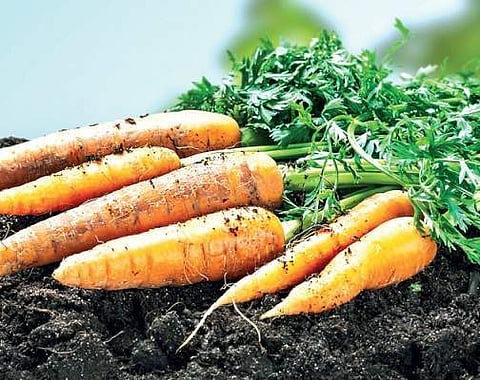 Image for representational purpose only.