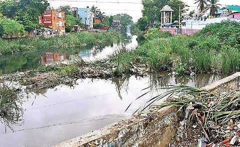 Tamil Nadu: Public consultation sans public for river project