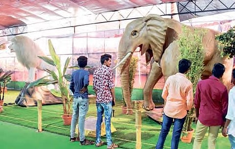 Visitor at the robotic animal show in Vijayawada  | Express