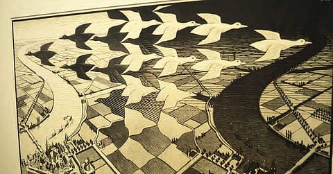 A hidden gem in The Hague